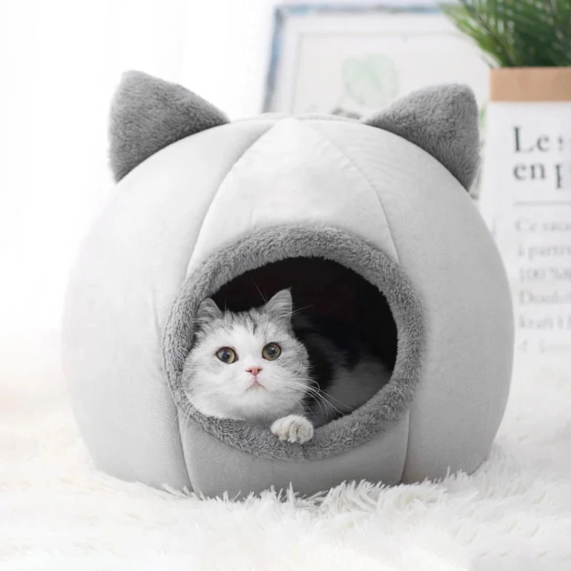 Pet tent bed  Warm and comfy