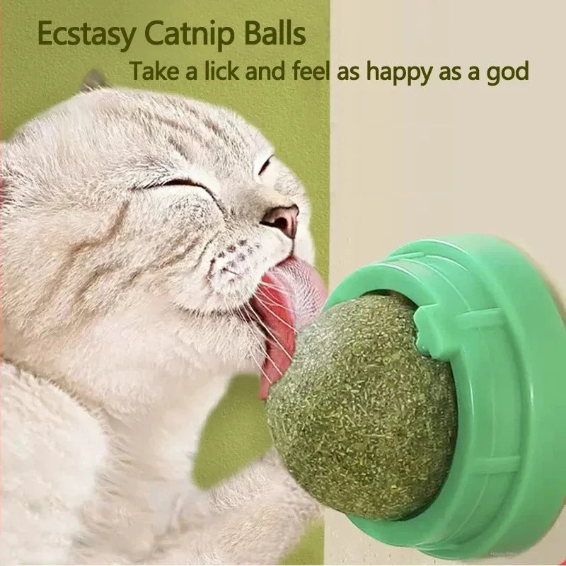 Catnip toys for cats