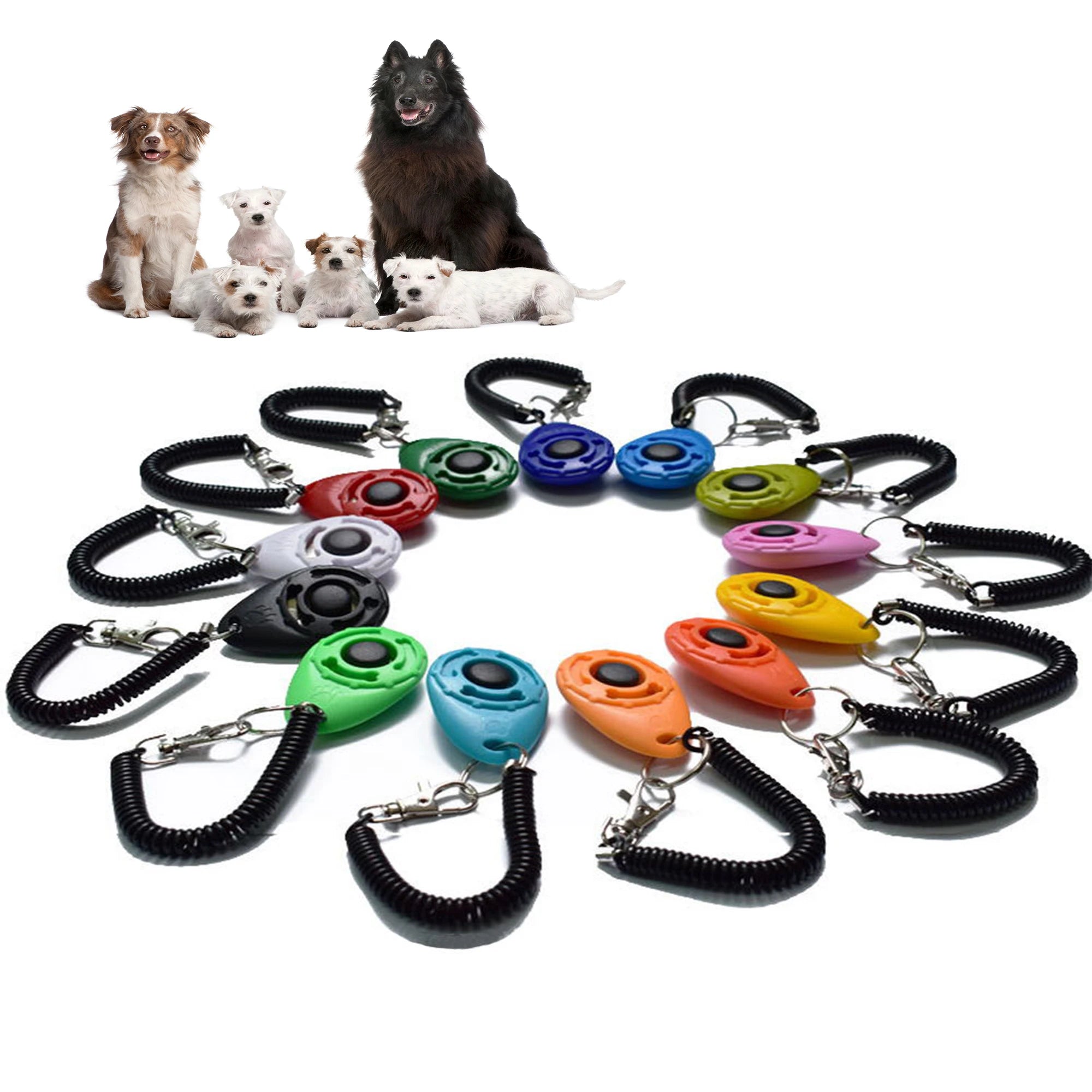 Dog training clicker tools