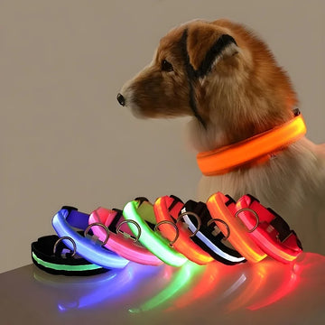 Nylon dog collar with LED light