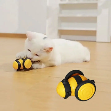 Automatic Moving Pet Toy with Plastic Feather & USB Charging Car